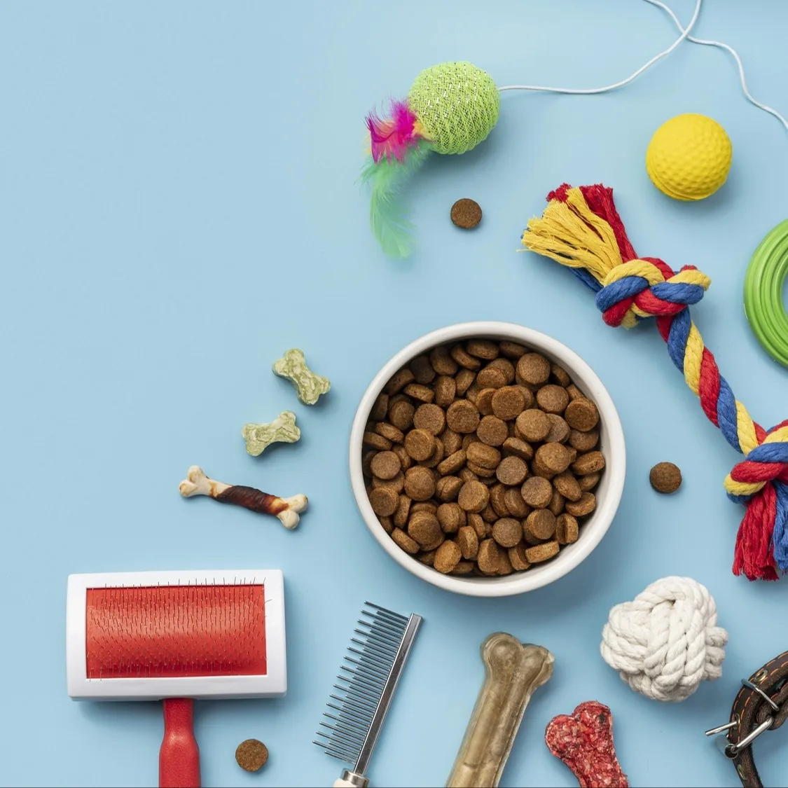 Pet Supplies