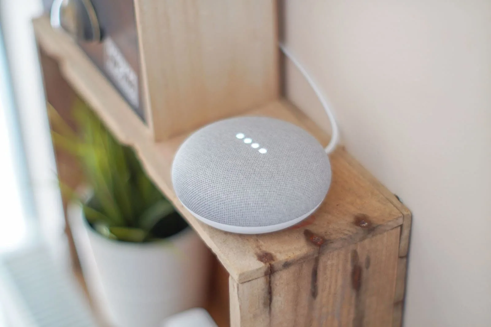 Smart Speaker (1)