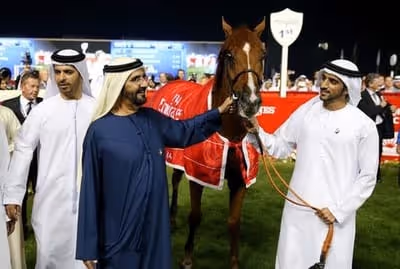 Buy a horse for racing