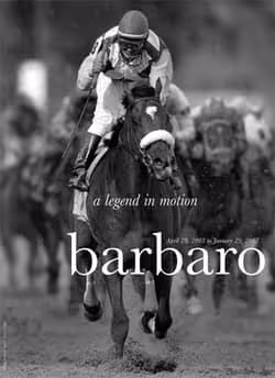 barbaro