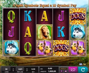 Dogslots