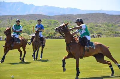 polo betting guide