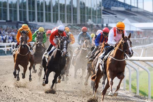 مراهنات سباق الخيل