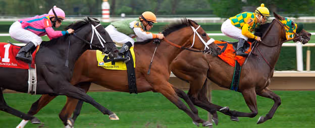 horse racing photo1