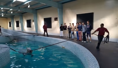 qatar horse and facilities