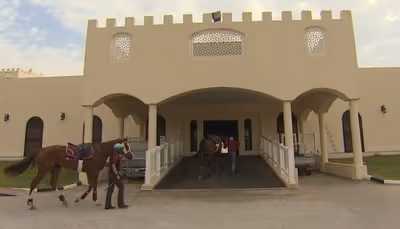 qatar horse racing and training facilities
