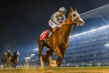 horse race in dubai