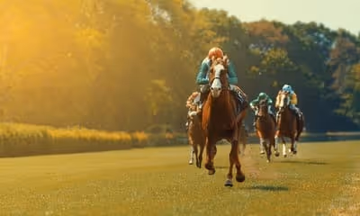 horse racing on field