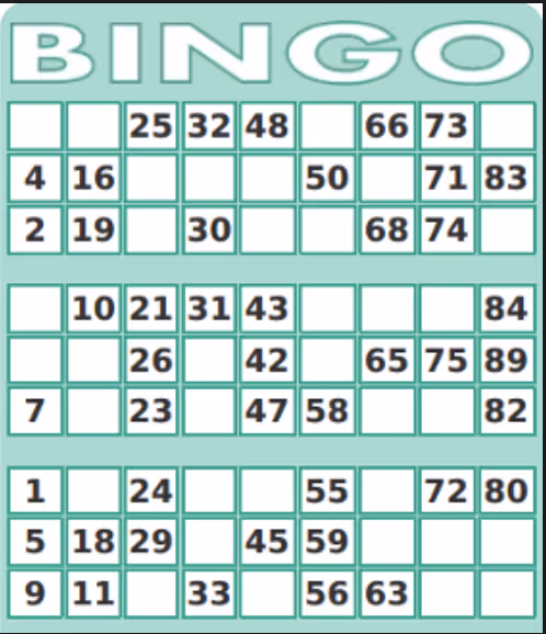pingo 2 0