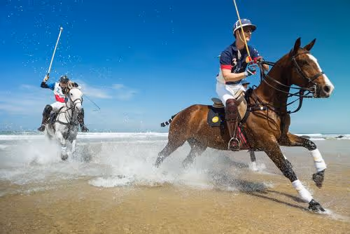 polo twiiter post2 nodate 1 0