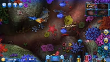 Fish Catch Slot Game