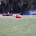 Red object on a green surface