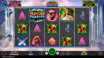 Princess Warrior Pokie Slot Game