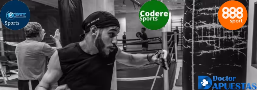 Encontrar las Mejores Casas de Apuestas de Boxeo Online
