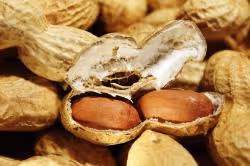 peanuts nuts snack nutrition healthy nibble decoration close up knabberzeug 0