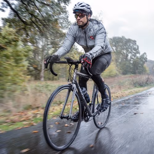 sensor cat.jpg.pagespeed.ce .s16B k6zWG