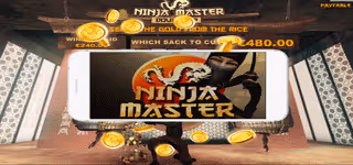 2 34 939 ninja master mobile tb 0
