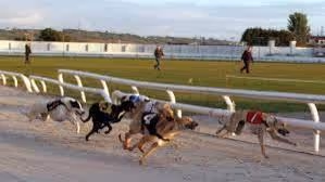 2 40 961 image 53721166941638918216667 0