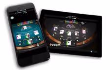 33 48 307 RAINBOW 20BLACKJACK