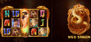 6 33 81 fu re dai symbol wild 0