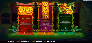 ee0ad8a2bd4a34b028191bee9cd1e7db 3 Buzzing Wilds FreeSpint 3 choice 0