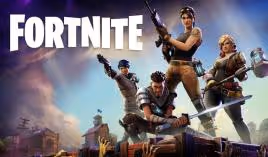 37 46 250 Fortnite 0