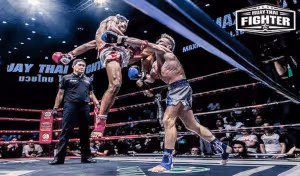 มวยไทยออนไลน์