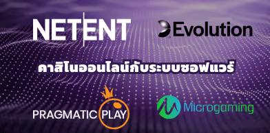 คาสิโนซ็อฟแวร์