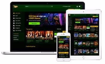 Online Casinos