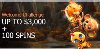 All Spins Win Welcome Bonus