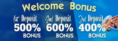 Bingo Fest Welcome Bonus