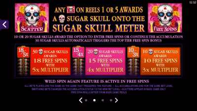 Beautiful Bones slot game